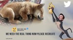 elon musk, elon musk dog, elon musk floki dog viral memes, elon musk floki arrived viral tweet, trending, indian express, indian express news