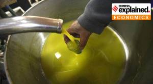 Explained: Customs duty waiver on edible oil imports; will it help control prices?