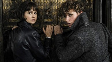 Fantastic Beasts The Secrets of Dumbledore, Fantastic Beasts 3