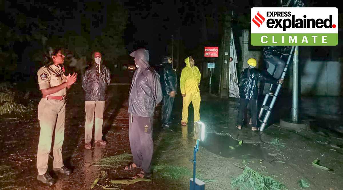 Police personnel and locals at a site after a tree fell down due to heavy winds induced by Cyclone Gulab, in Srikakulam  district, Sunday, Sept. 26, 2021. (PTI Photo)
