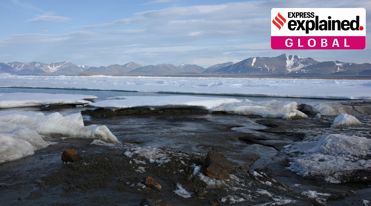 Greenland, Discovery of new island, Greenland new island, New island discovered, Qeqertaq Avannarleq, Indian Express