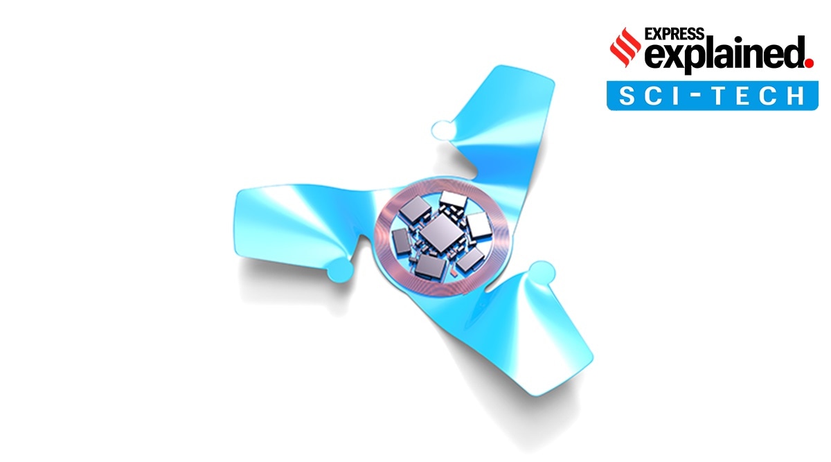 The microflier does not have a motor on engine, but catches flight on the wind. (Northwestern University)