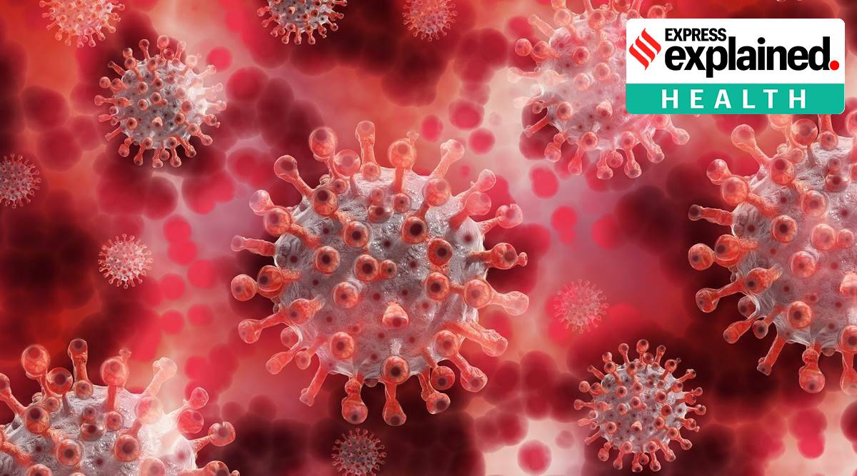 mu variant, coronavirus mu variant, covid Mu strain, what is mu variant, Columbia variant, indian express