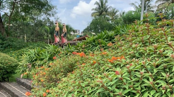 Mumbai Greens