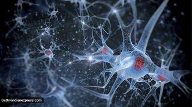 nerve health, nerve health survey, vitamin B12 deficiency india, what to know about vitamin deficiencies, indianexpress.com, indianexpress, nerve health damage,