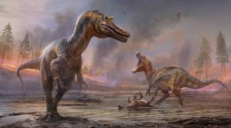 new-spinosaurids