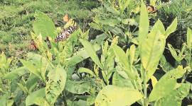 delhi news, delhi news today