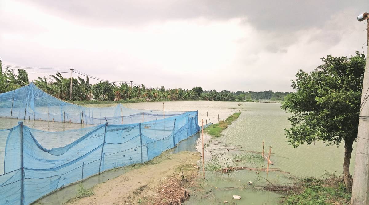 The flooded lowland that has been repurposed into a thriving fishery hub.