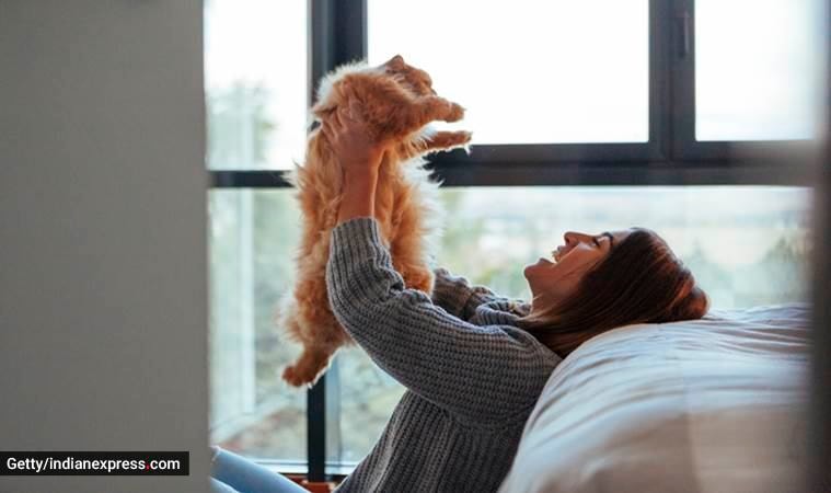 pets, pet care, bonding with pets, pet dog, pet cat, pet bird, how to bond with pets, how to take care of pets, training pets, indian express news