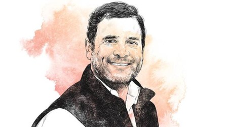 Gandhi asked the party leaders to launch an aggressive campaign and ensure the defeat of the BJP in the forthcoming Assembly elections, he said.
(File)