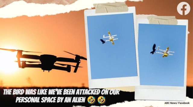 raven attack drone, bird attack drones, australia bird attacks drone, coffee delivery drone attacked bird, Canberra raven drone video, indian express