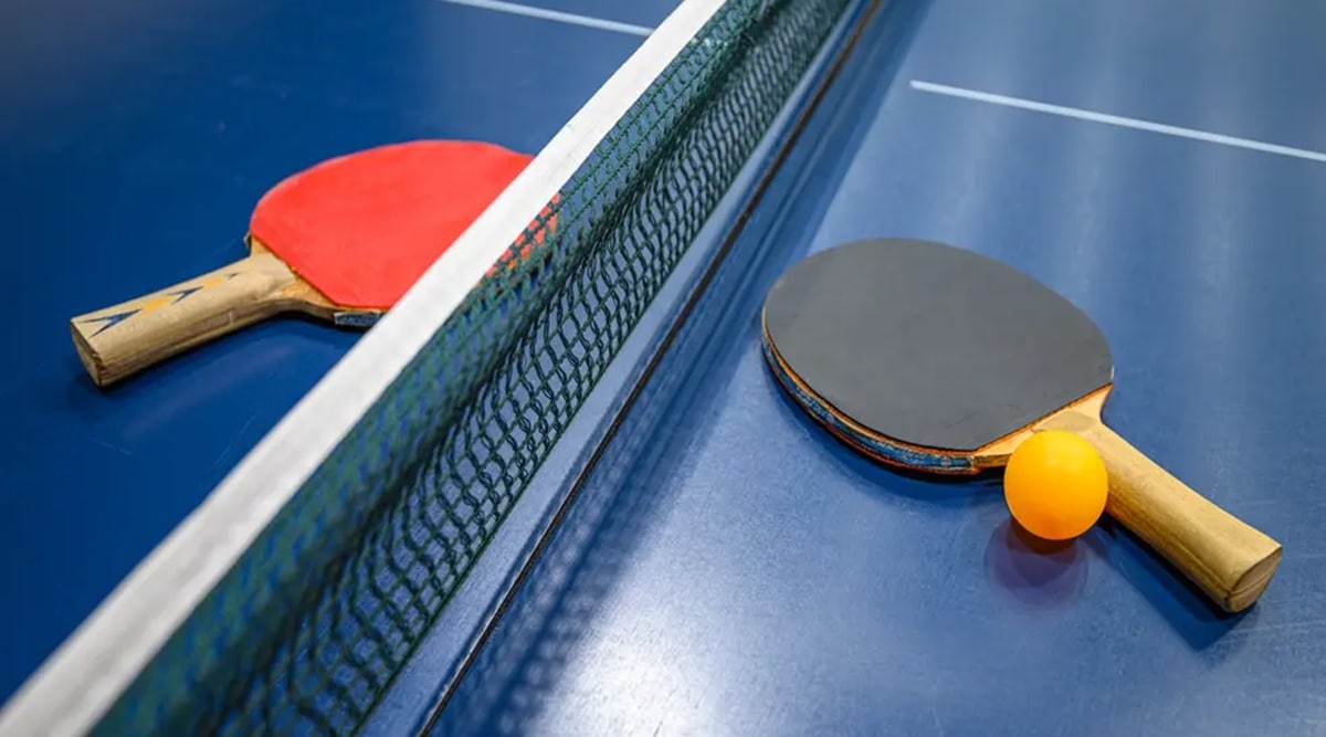 table tennis Investment Sell