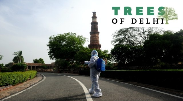 A worker chemically disinfects the premises of Qutub Minar complex ahead of its reopening to the public after lockdown in New Delhi. (Express Photo by Gajendra Yadav)