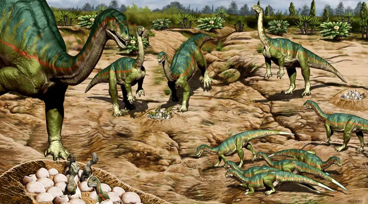 Los fósiles de la Patagonia muestran que los dinosaurios del Jurásico tenían una mentalidad de manada