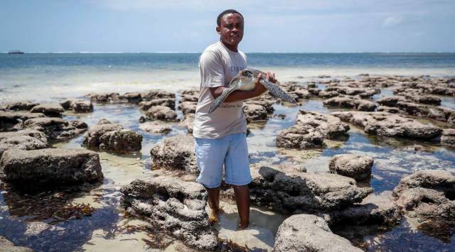 Kenya Turtle Rescue
