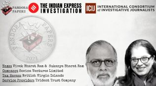 Pandora Papers: DCM scion, his wife held shares in BVI company