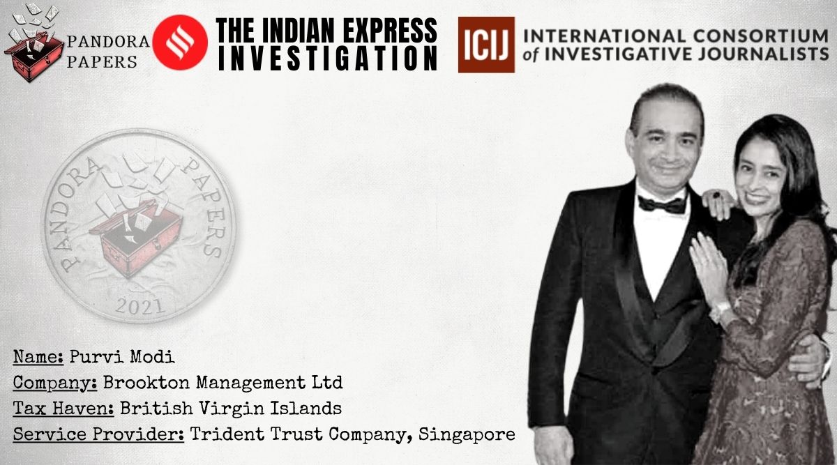 pandora papers, pandora papers list, what are pandora papers, indian express