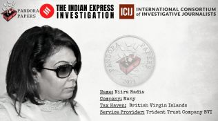 Niira Radia set up a dozen firms, asked Trident Trust to not contact her directly