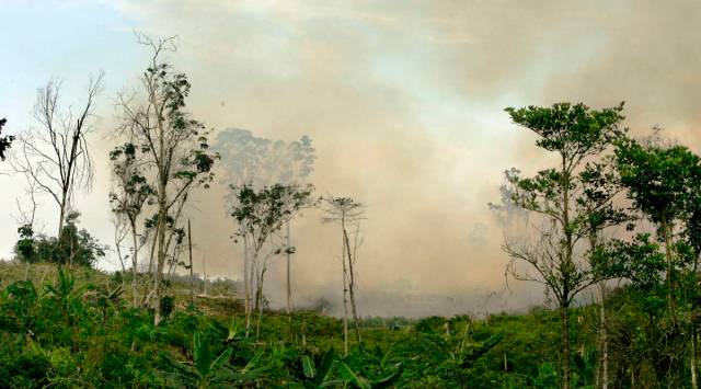 UN Greenhouse Gases