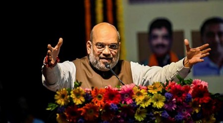Union Home Minister Amit Shah addresses BJP workers during a meeting, at Taleigao in North Goa, Thursday, Oct. 14, 2021. (PTI Photo)