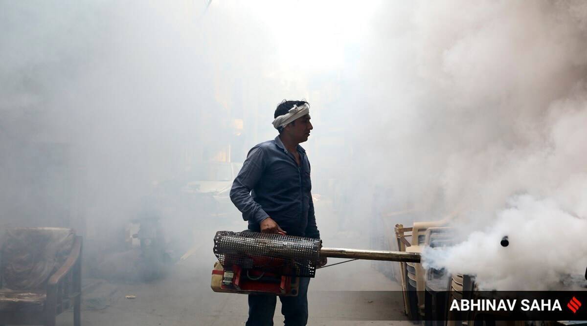 With 283 cases in last week, Dengue cases in Delhi cross 1,000-mark