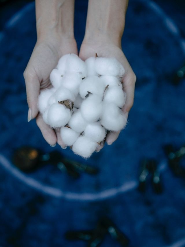 did-you-know-about-these-uses-of-cotton-balls-the-indian-express