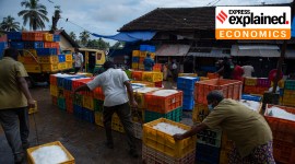 World Economic Outlook, IMF outlook, WEO report, global economy, economic recovery, india economy, Indian Express