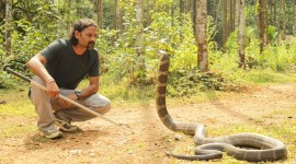 King Cobra, Philippines, Karnataka, Odisha, Kerala, Tamil Nadu, Andaman Islands, Goa, Mizoram, Uttarakhand, IISc, Indian express, Indian express news, current affairs