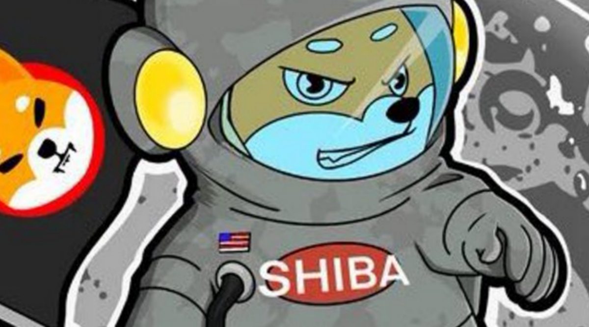 Shiba Inu's market cap is now not only bigger than Dogecoin