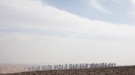 Dead Sea, Dead Sea installation, Dead Sea Spencer Tunick