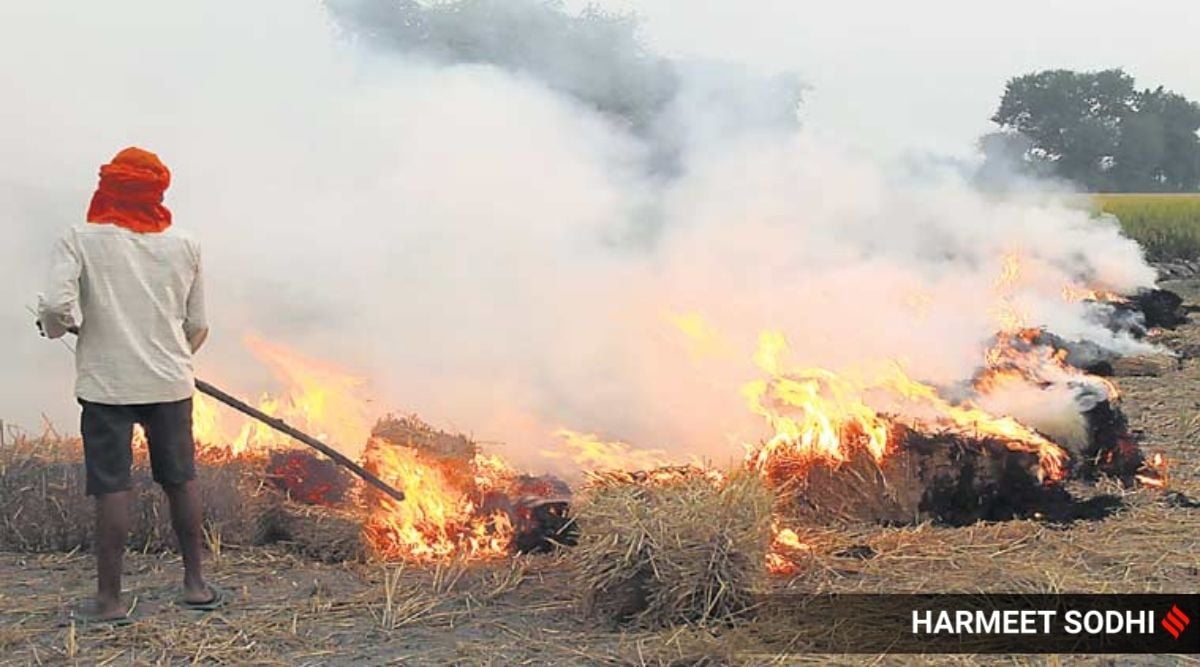 According to PPCB, of the 925 fires reported by PRSC, 558 sites have been visited so far within 48 hours. (Express Photo by Harmeet Sodhi)