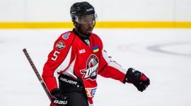 Ukrainian Hockey League (UHL)