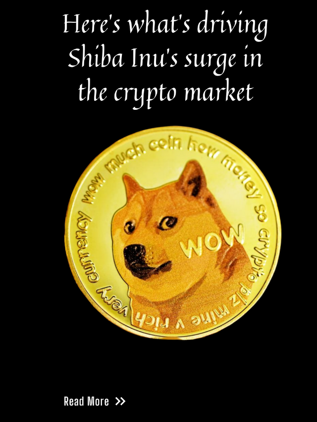 surge inu crypto