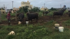 ex-IAF officer's land, title deed