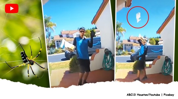 amazon delivery boy throws package on roof viral video, California amazon delivery driver viral video, funny video, funny cctv videos, trending, indian express, indian express news