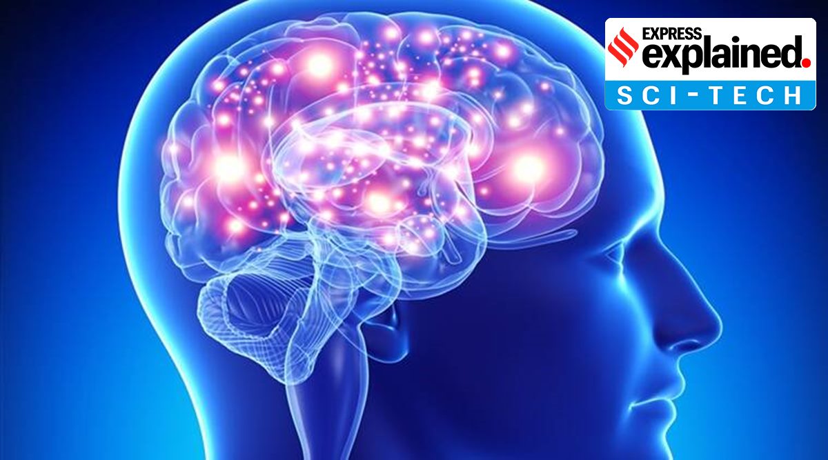 DBS is a surgical procedure in which electrodes are implanted into certain brain areas.