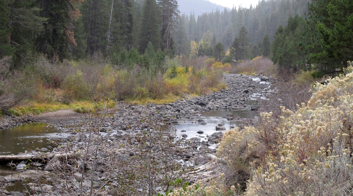 Water flows have slowed to a trickle on the Truckee River flowing out of Lake Tahoe from Tahoe City, California  a few miles upstream from Truckee on Oct. 20, 2021. (AP)
