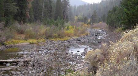Water flows have slowed to a trickle on the Truckee River flowing out of Lake Tahoe from Tahoe City, California  a few miles upstream from Truckee on Oct. 20, 2021. (AP)
