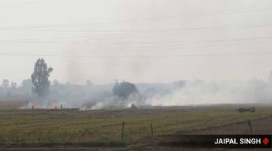 stubble burning