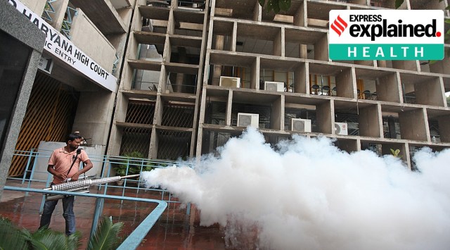 Anti Dengue spray at Punjab and Haryana High Court in Chandigarh (Express Photo by Kamleshwar Singh/File)