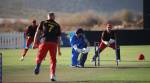 cricket
