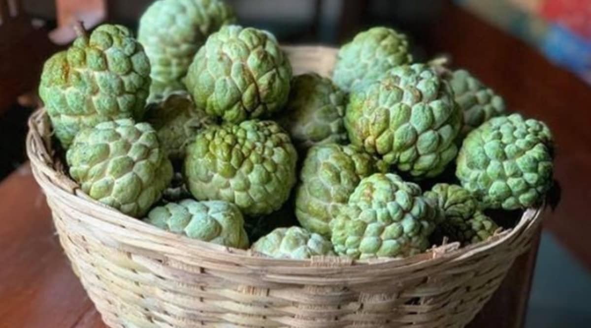 custard apple