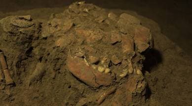 skull indonesia