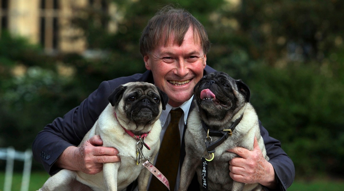 Conservative MP David Amess with his pugs, Lily and Boat in London, 2013. (AP)