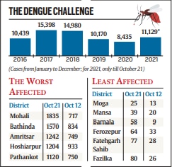punjab dengue cases, punjab dengue news