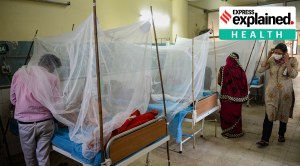 Rise in dengue cases: ‘Timely treatment vital to prevent mortality’