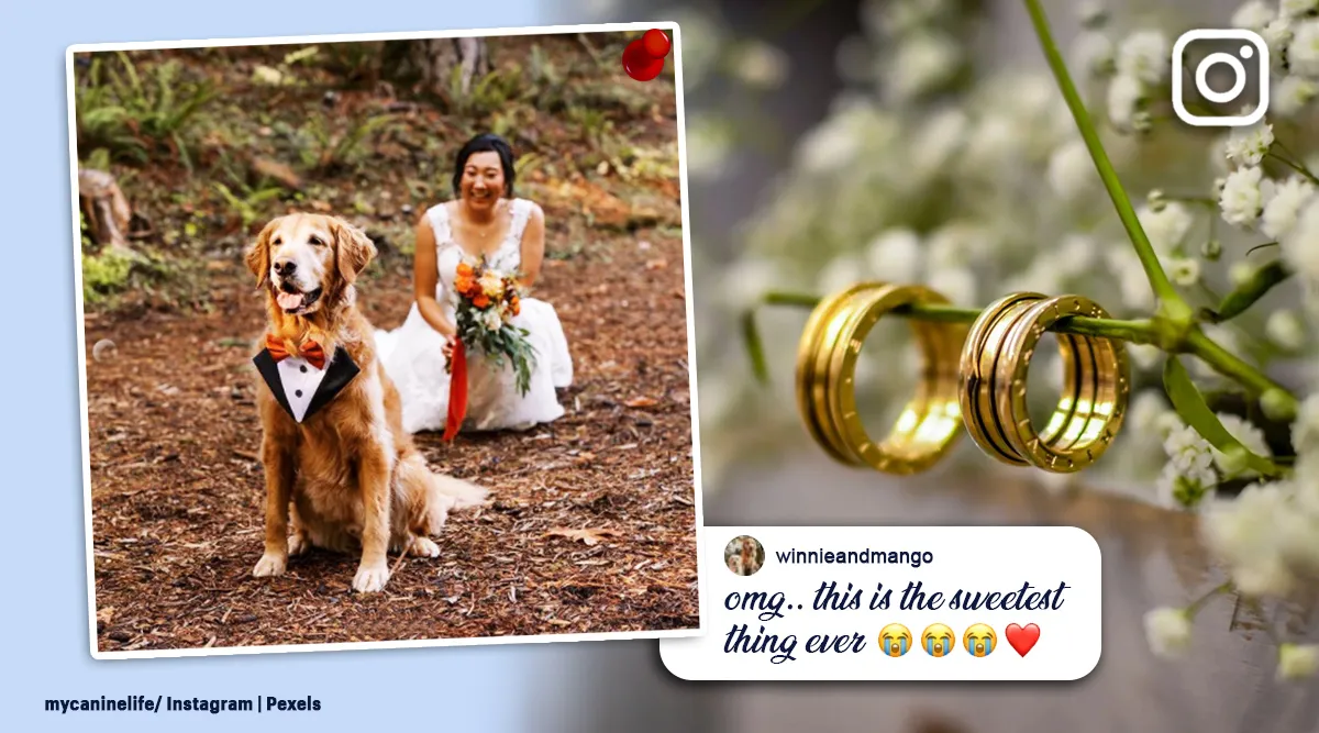 So precious': Bride creates first-look wedding photos with her dog, images  go viral | Trending News,The Indian Express