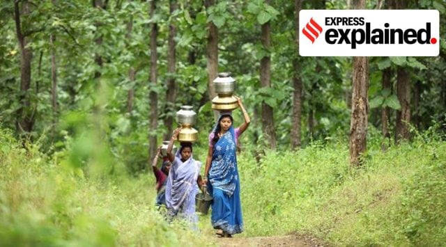 The amendments do not address tribals and forest dwelling communities. (Representational Image)