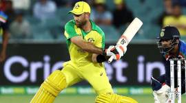 Glenn Maxwell, Jose Hazlewood, T20 World cup, Australia T20 world cup