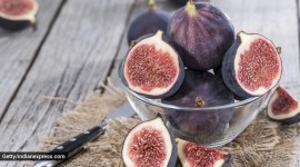 himalayan figs_
